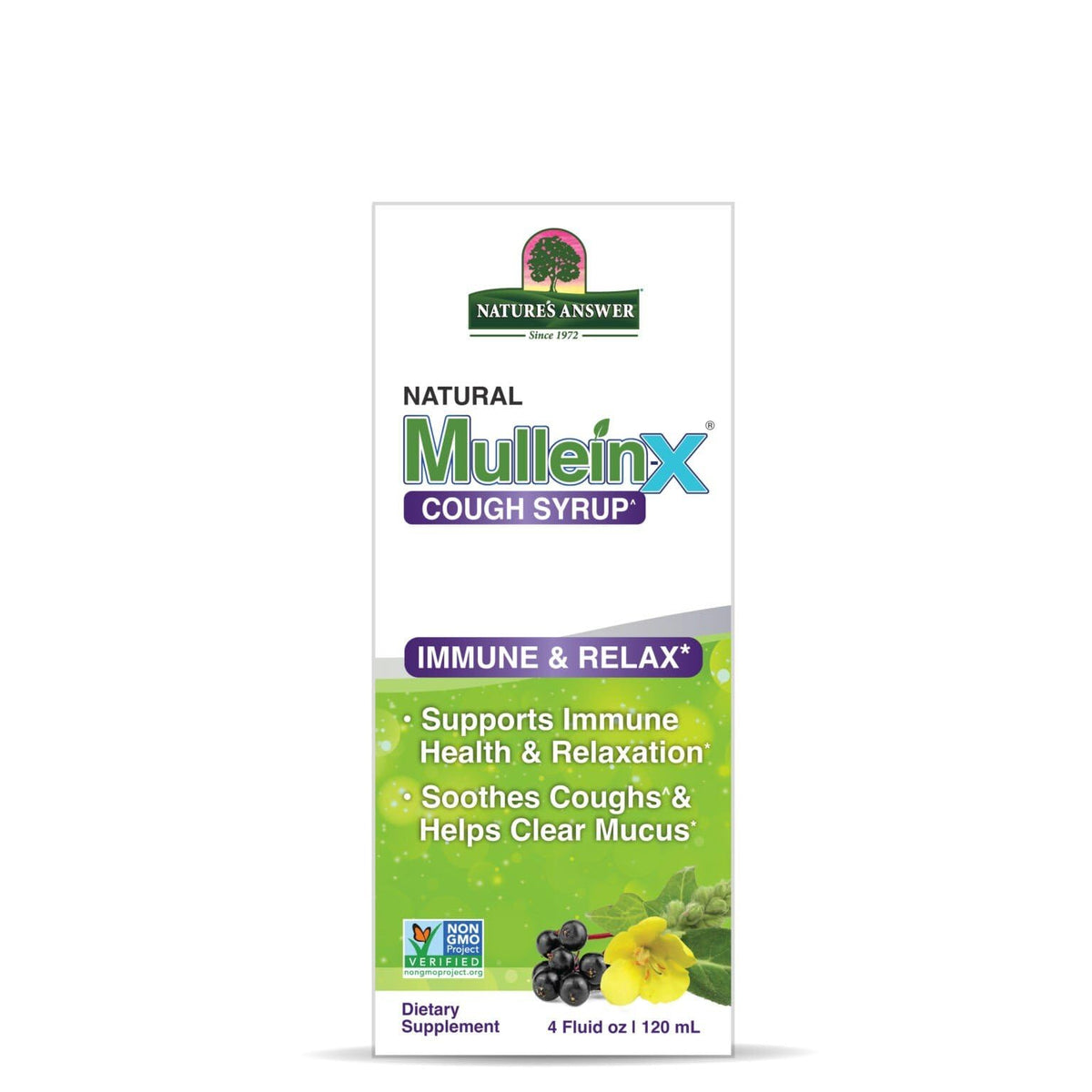 Nature's Answer Mullein-X Cough Syrup Immune Support - 4 Fl Oz - image 2