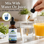 Pure Mountain Botanicals Echinacea Drops Immune Support - 1 oz - image 4