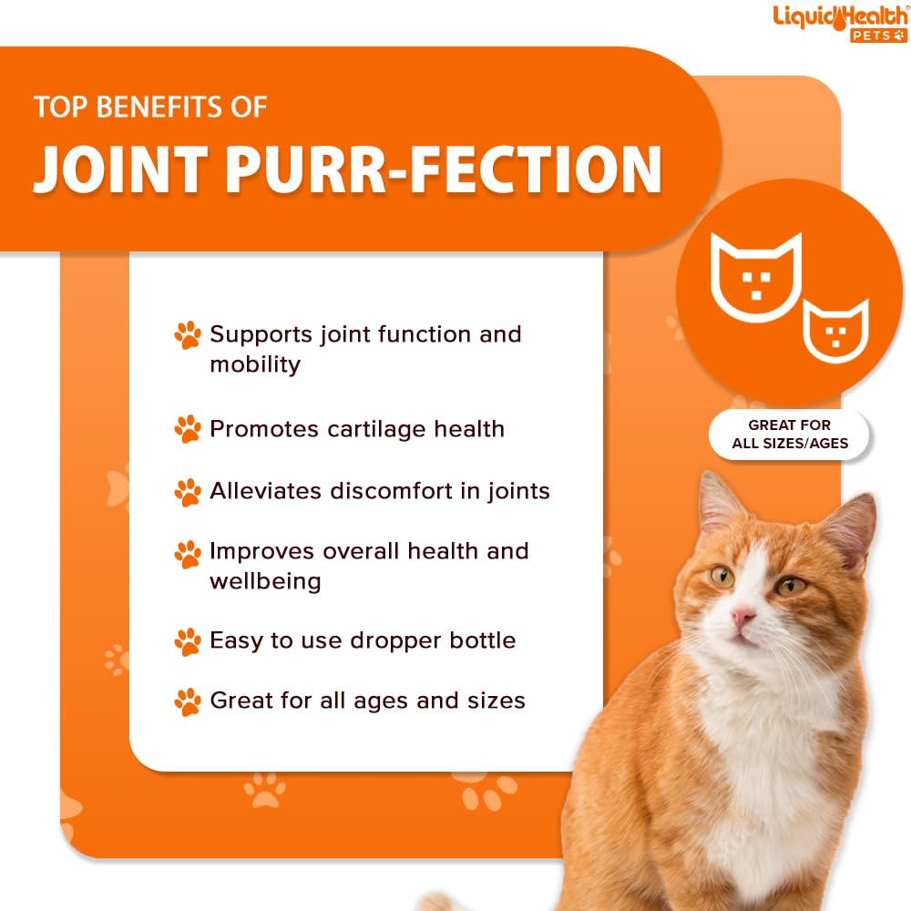 LIQUIDHEALTH Pets Liquid Cat Glucosamine Joint Support - 2 Pack - image 3