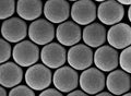 Alpha Nanotech Colloidal Polystyrene Beads 900 nm - 10 ml