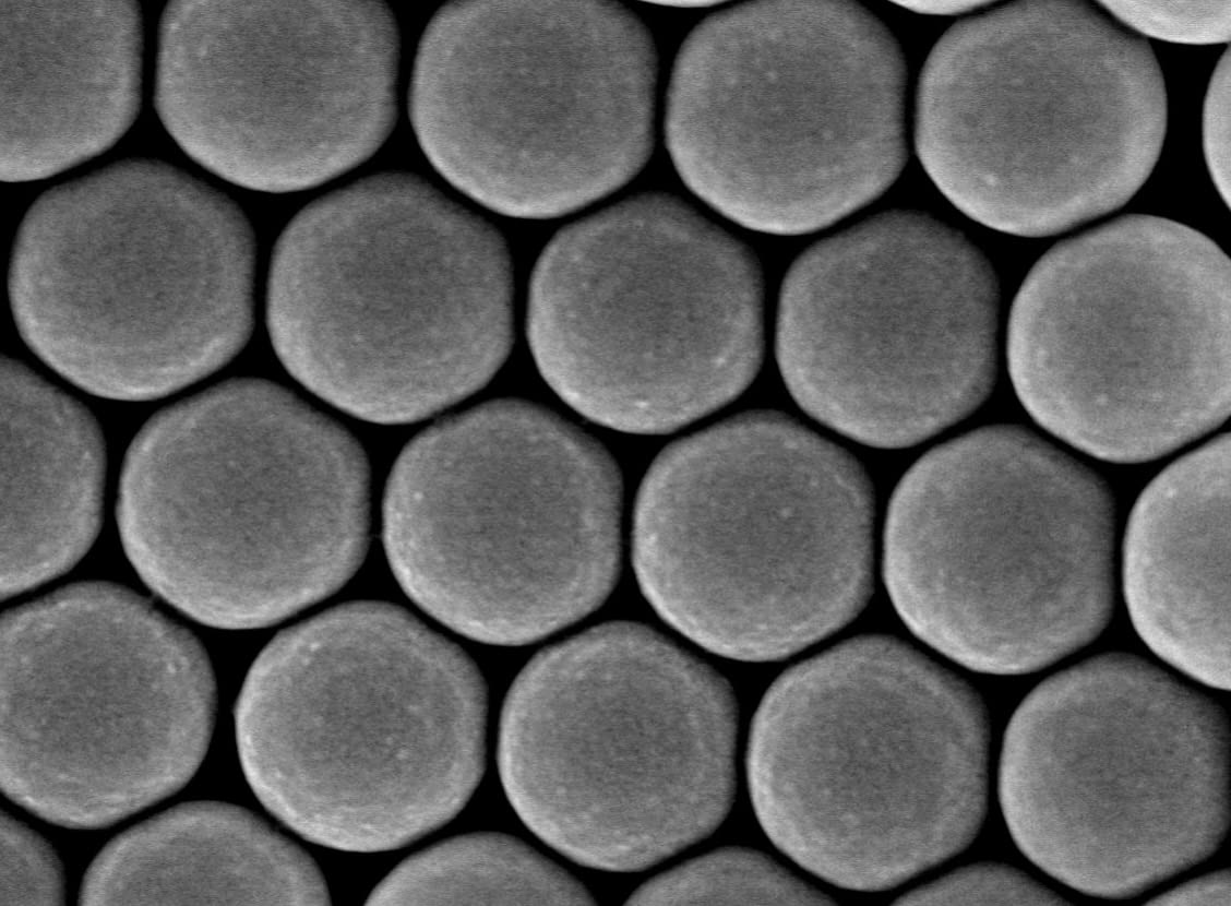 Alpha Nanotech Colloidal Polystyrene Beads 900 nm - 10 ml