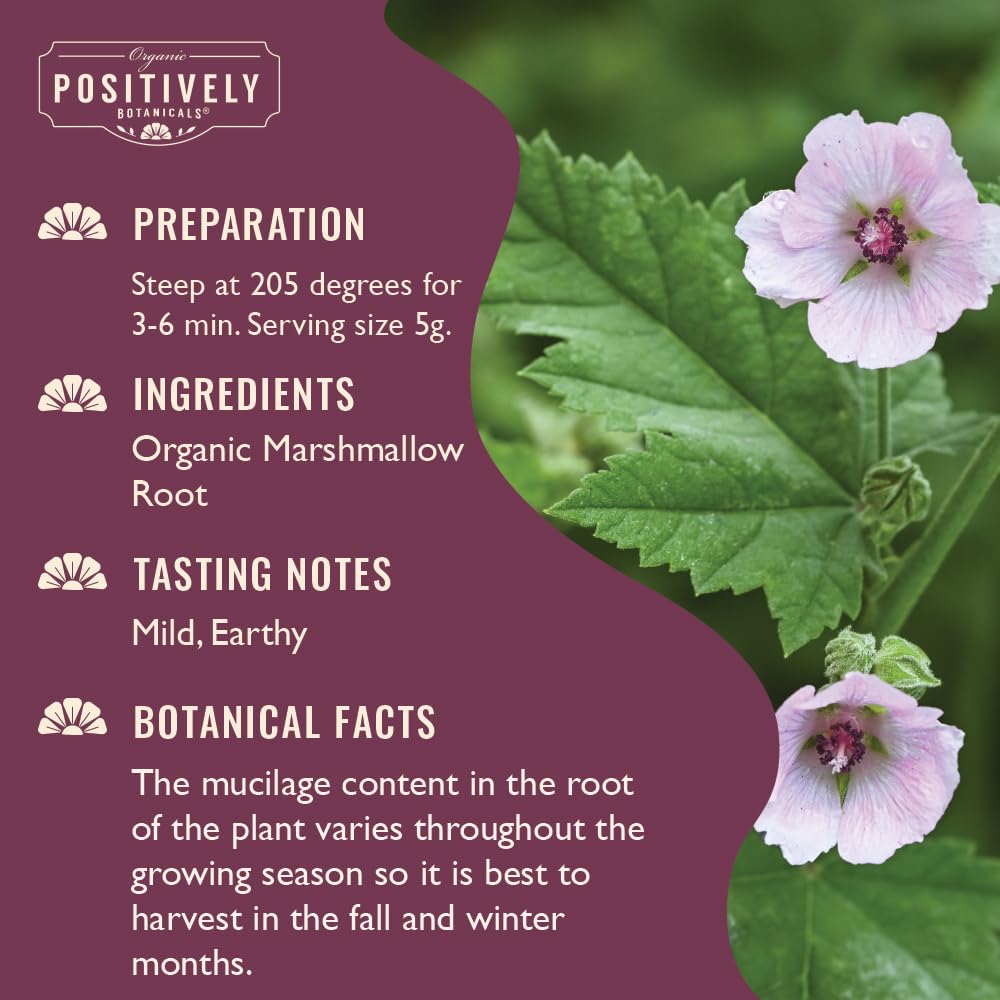 Organic Positively Tea Company Marshmallow Root Herbal Tea - 16 Ounce - image 2