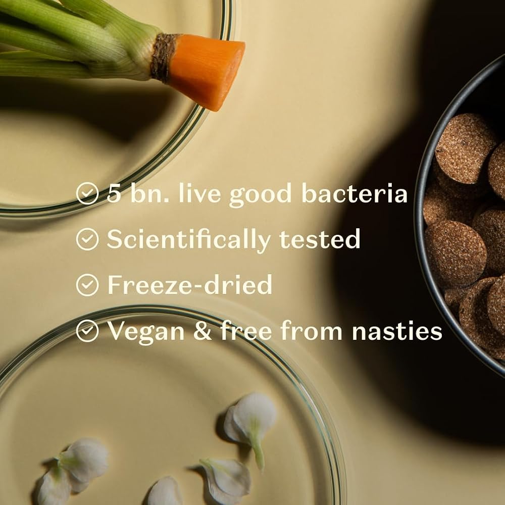 DAYE ProViotics Lactobacillus plantarum GLP3 - 30 Tablets - image 2