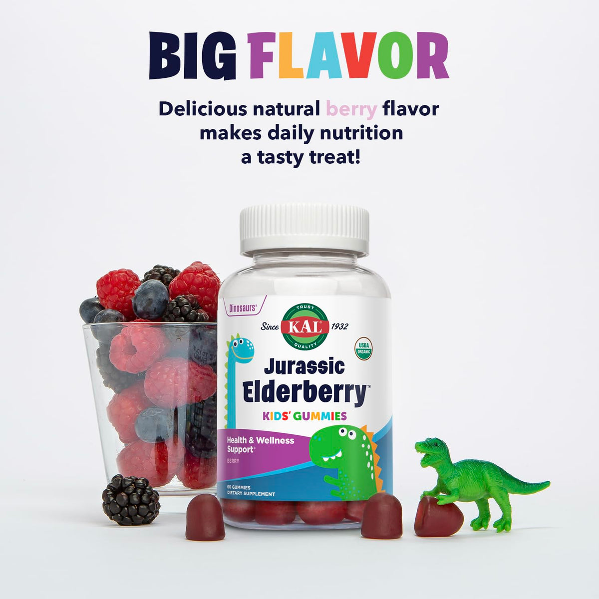 KAL Jurassic Elderberry Kids Gummies Immune Support - 60 Gummies - image 4