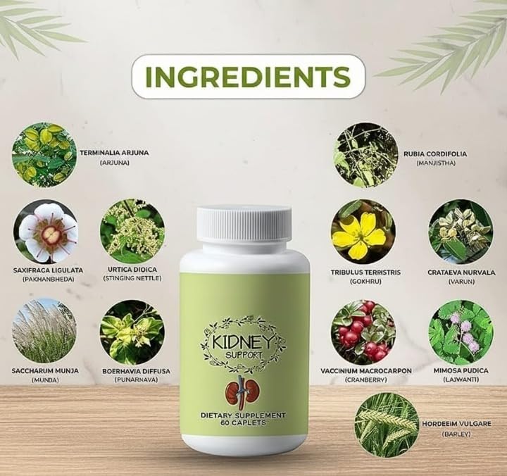 Generic Kidney Support with Varun & Natural Herbs - 60 Caplets - image 2