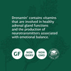 Standard Process Drenamin, Adrenal Function & Stress Response