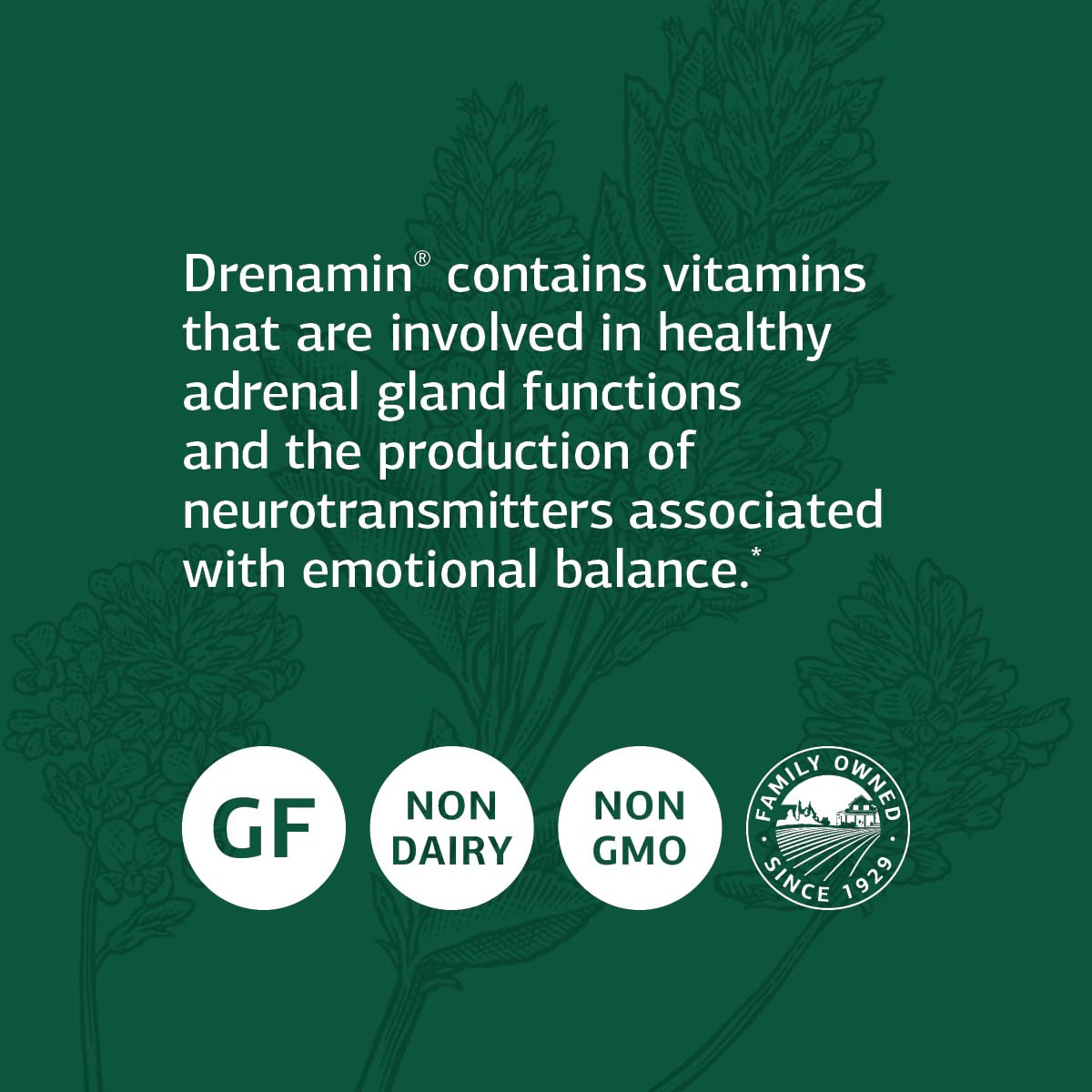 Standard Process Drenamin, Adrenal Function & Stress Response