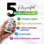 LABO Nutrition Vitale OPCs Circulation & Antioxidants - 90 Softgels - image 4