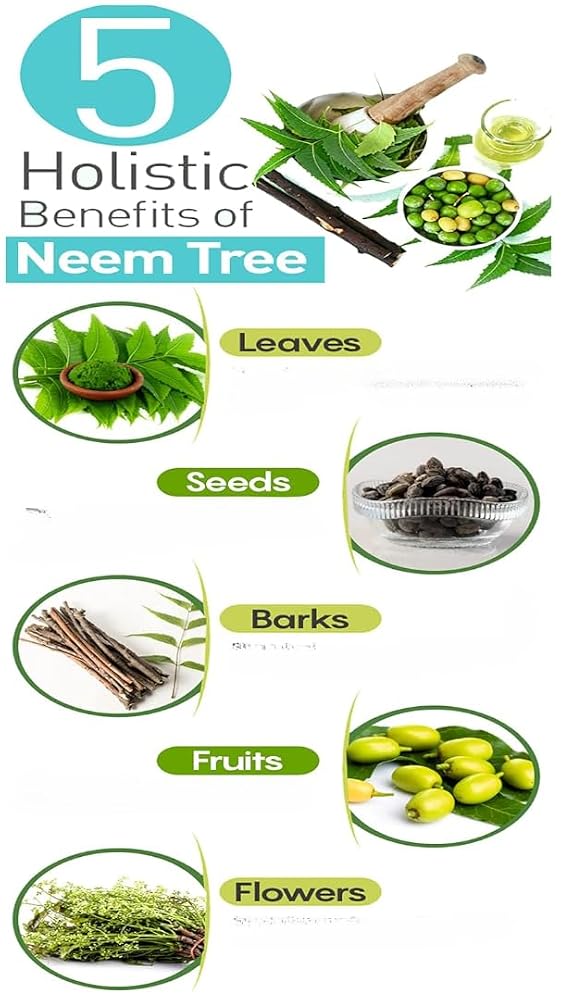 Generic Pure Neem Powder for Skin and Hair - 200g - image 4