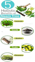 Generic Pure Neem Powder for Skin and Hair - 200g - image 4