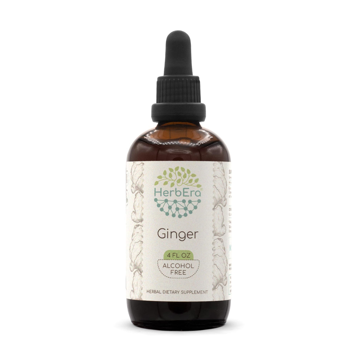 HerbEra Ginger Alcohol-Free Herbal Extract Tincture