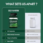 Selvaherb Stone Breaker Chanca Piedra Capsules Urinary Support - 90 Count - image 5