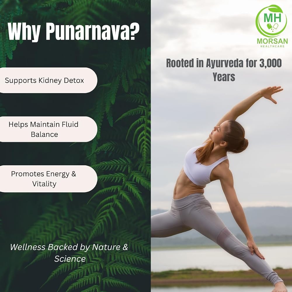 Morsan Healthcare Punarnava Capsules 500mg - 120 Vegetarian Capsules - image 4
