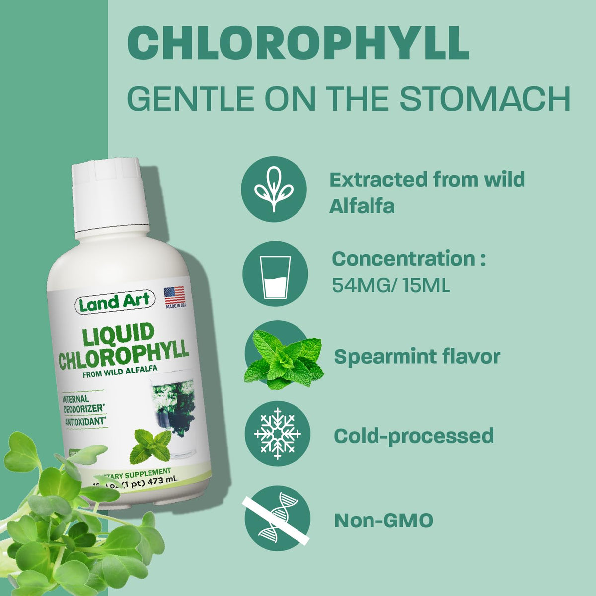 Land Art Chlorophyll Liquid Cold-Extracted Wild Alfalfa - 16 fl oz - image 5