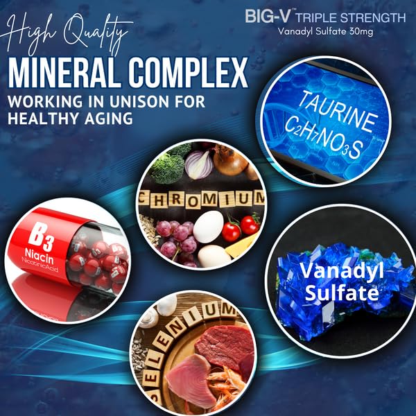 Bricker Labs Big-V Triple Strength Vanadyl Supplement - 90 Capsules - image 4