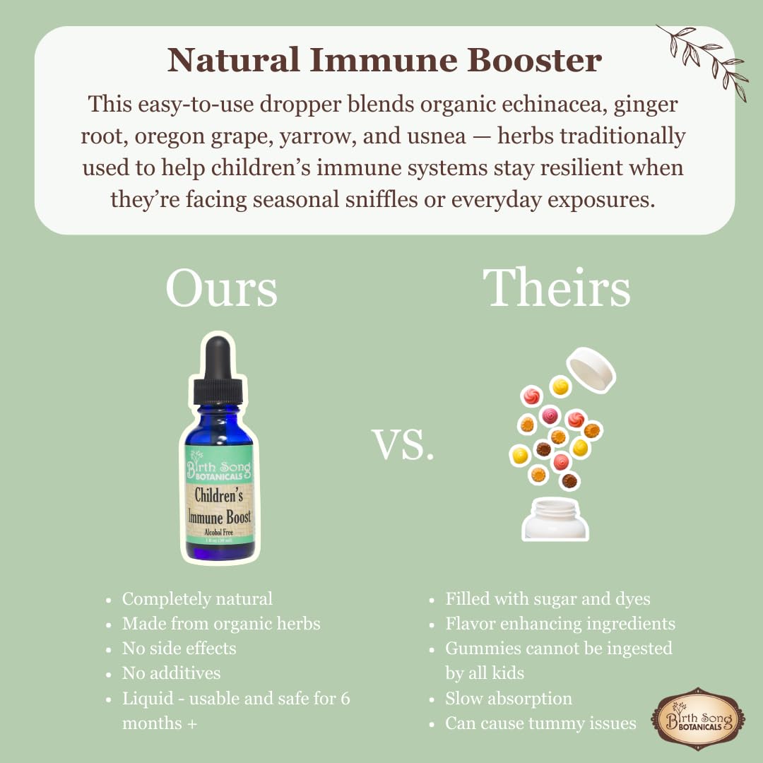 Birth Song Botanicals Children's Immune Boost Tincture - 1 Fl Oz - image 5