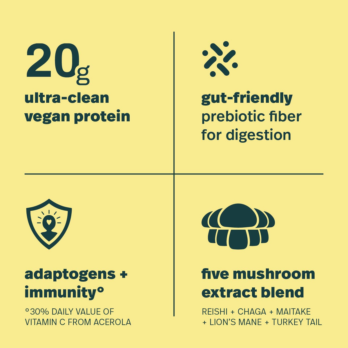 Sprout Living Organic Plant Protein + Superfoods