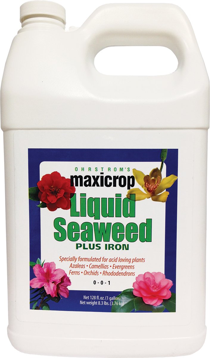 Maxicrop Liquid Seaweed Plus Iron - 128 fl oz