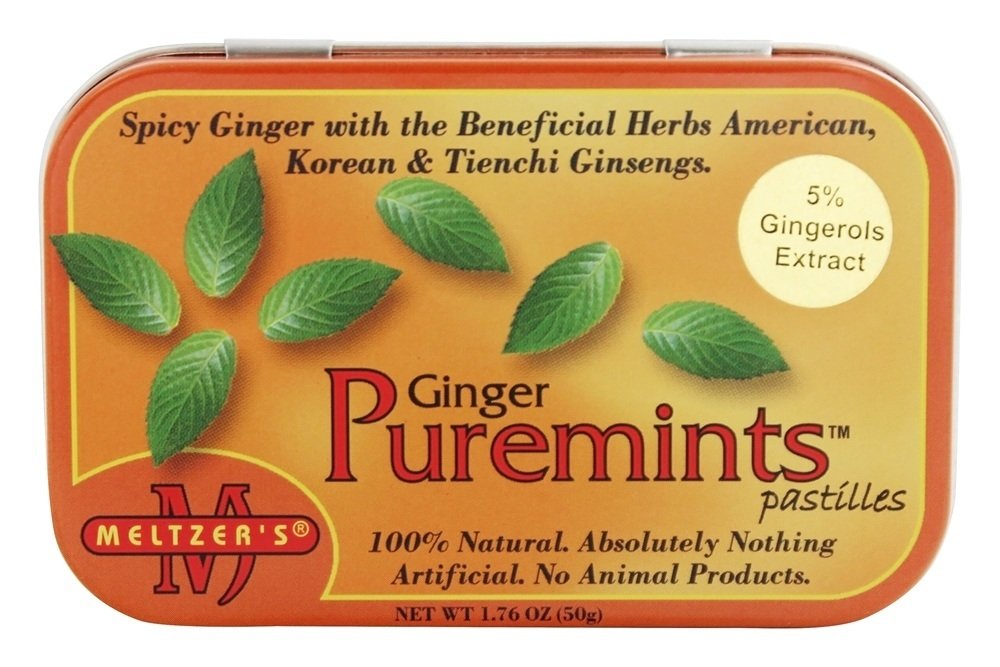 Meltzer's Puremints Ginger Pastilles - 1.76 oz