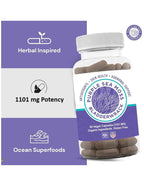 BocaHeal Purple Sea Moss + Bladderwrack Capsules - 60 Count - image 8