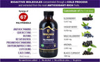 Immunia 67 polyphenols - Elderberry Concentrate with Wild Blueberry.