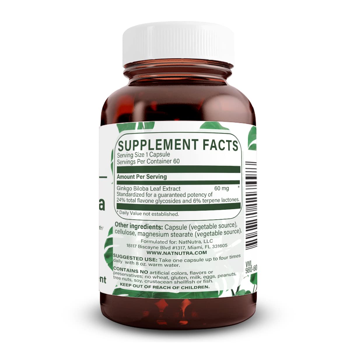 Natural Nutra Ginkgo Biloba Brain Support - 60 Capsules - image 2