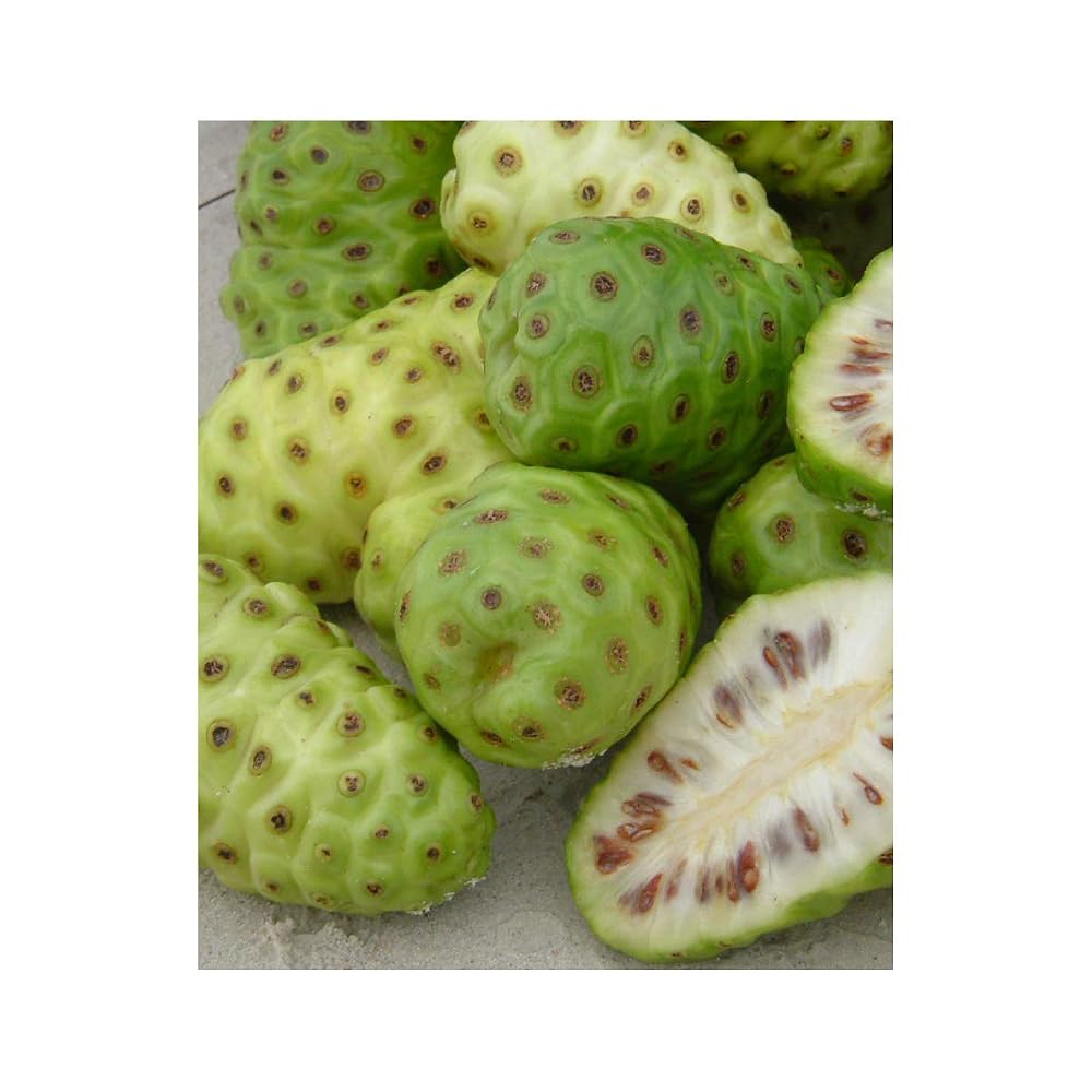 Royal Noni Fiji Organic Noni Fruit Capsules - 90 Capsules - image 4
