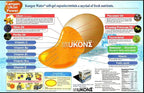 Enagic Kangen Ukon Turmeric 100% Organic Multivitamin - 100 Vegetarian Capsules - image 5