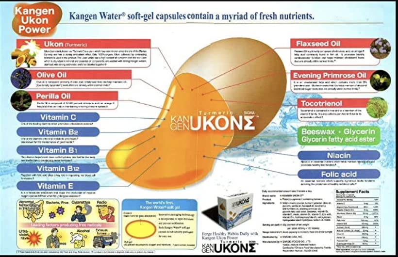 Enagic Kangen Ukon Turmeric 100% Organic Multivitamin - 100 Vegetarian Capsules - image 5