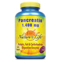 Nature's Life Pancreatin 4X Strength - 250 Tablets