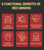 SAMSIDAE Korean Red Ginseng Extract Gold - 240g - image 6