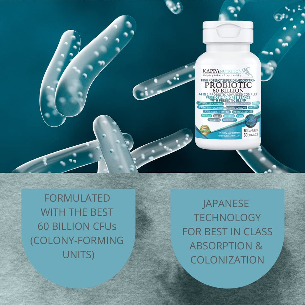 KAPPA NUTRITION Probiotic 60 Billion CFU 14 in 1 Formula - 60 Capsules - image 3