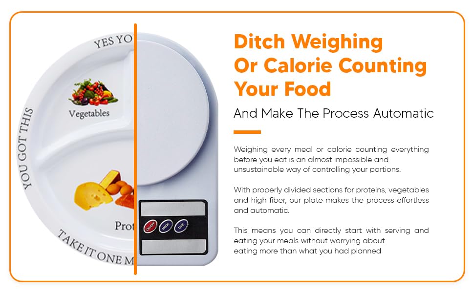 Universal Body Labs Bariatric Portion Control Divided Plates - 2 Pack - image 7