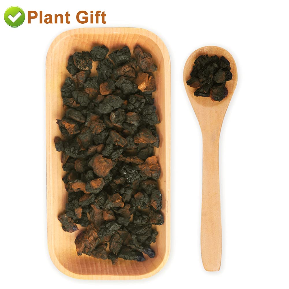 Plant Gift Chaga Mushroom Tea Chunks - 125g - image 7