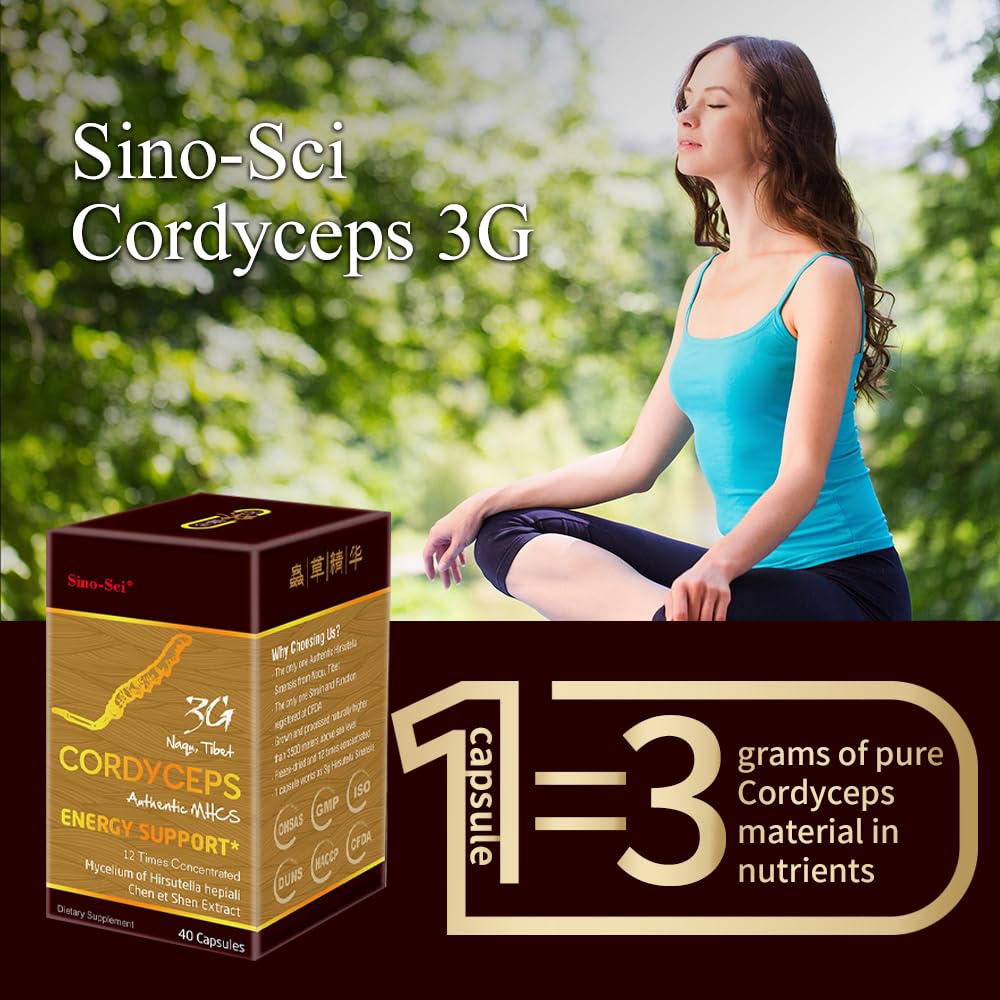 Sino-Sci Cordyceps 3G Energy Booster Capsules - 40 Capsules - image 5