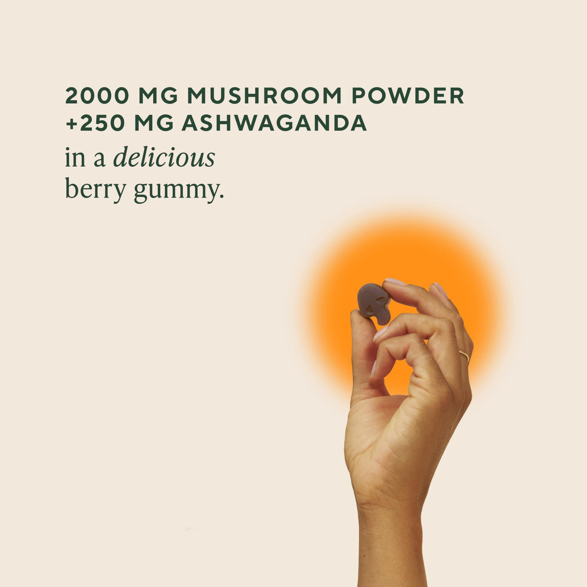 OM MUSHROOM SUPERFOOD Mushroom Gummies