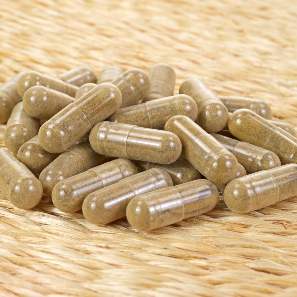 Earthborn Elements Amla Extract - 200 Capsules - image 4