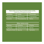 Biochem, Vegan Protein Powder, 20g of Plant-Based Protein to Support