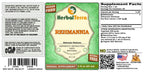 Herbal Terra LLC Rehmannia (Rehmania Glutinosa) Tincture - image 3