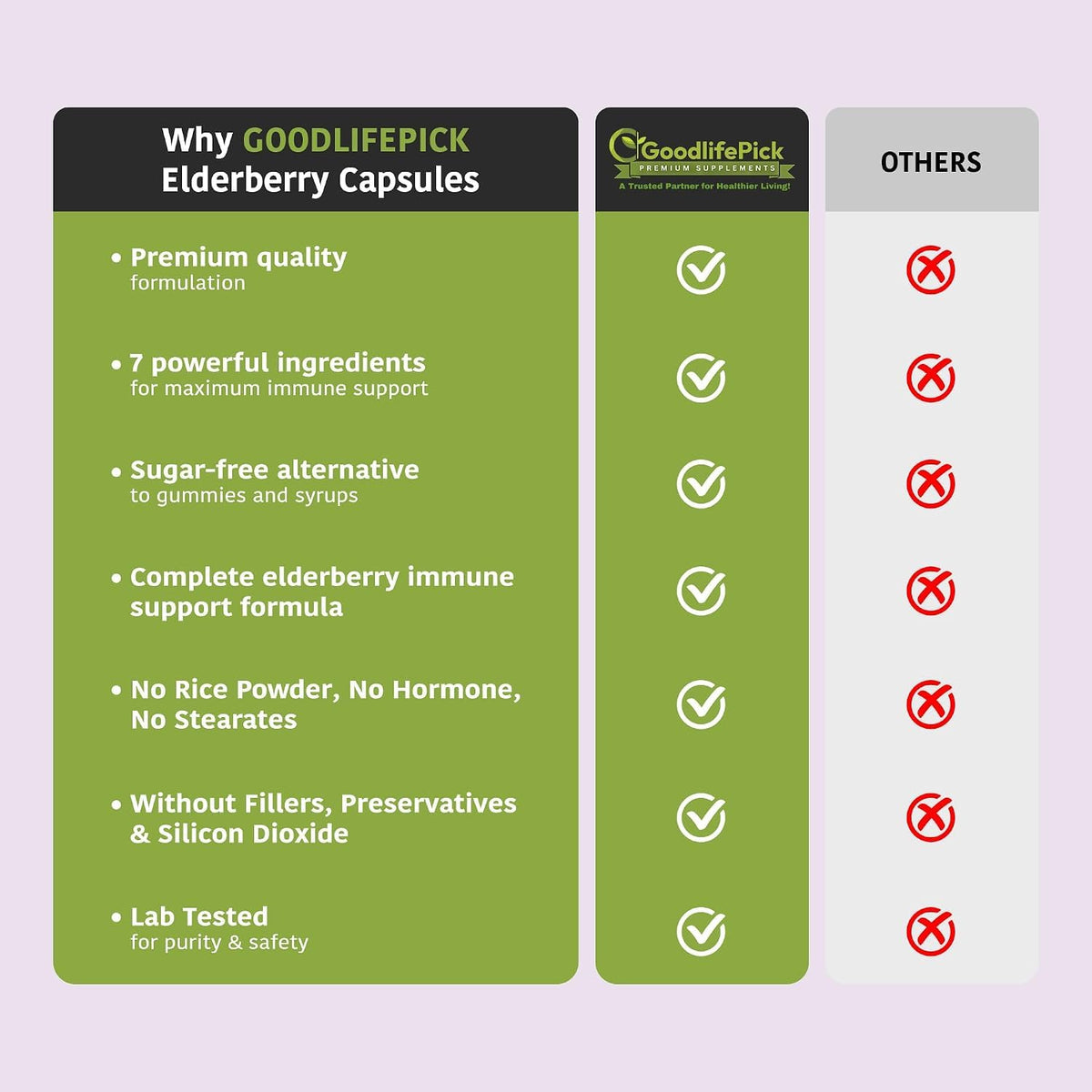 GoodlifePick Elderberry with ZINC