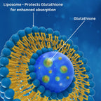 Advanced Bionetix 850mg Liposomal Glutathione - 60 Softgels - image 3