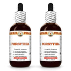Hawaii Pharm Forsythia (Forsythia suspensa) Fruit Liquid Extract