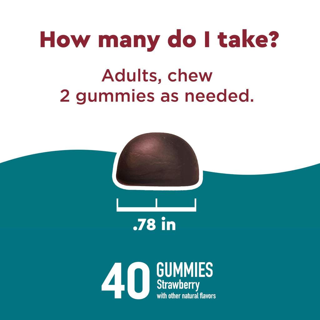 Nature Made Wellblends Stress Relief Gummies - 40 Gummies - image 4