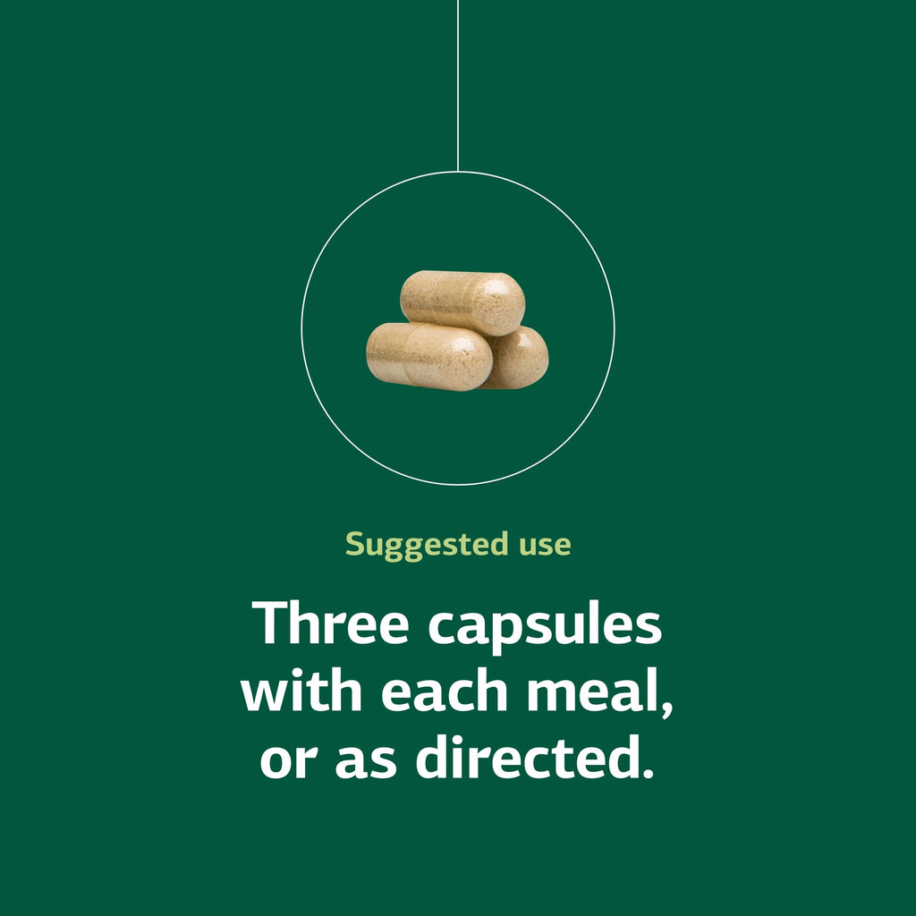 Standard Process Rumaplex Liver & Bile Support - 40 Capsules - image 5