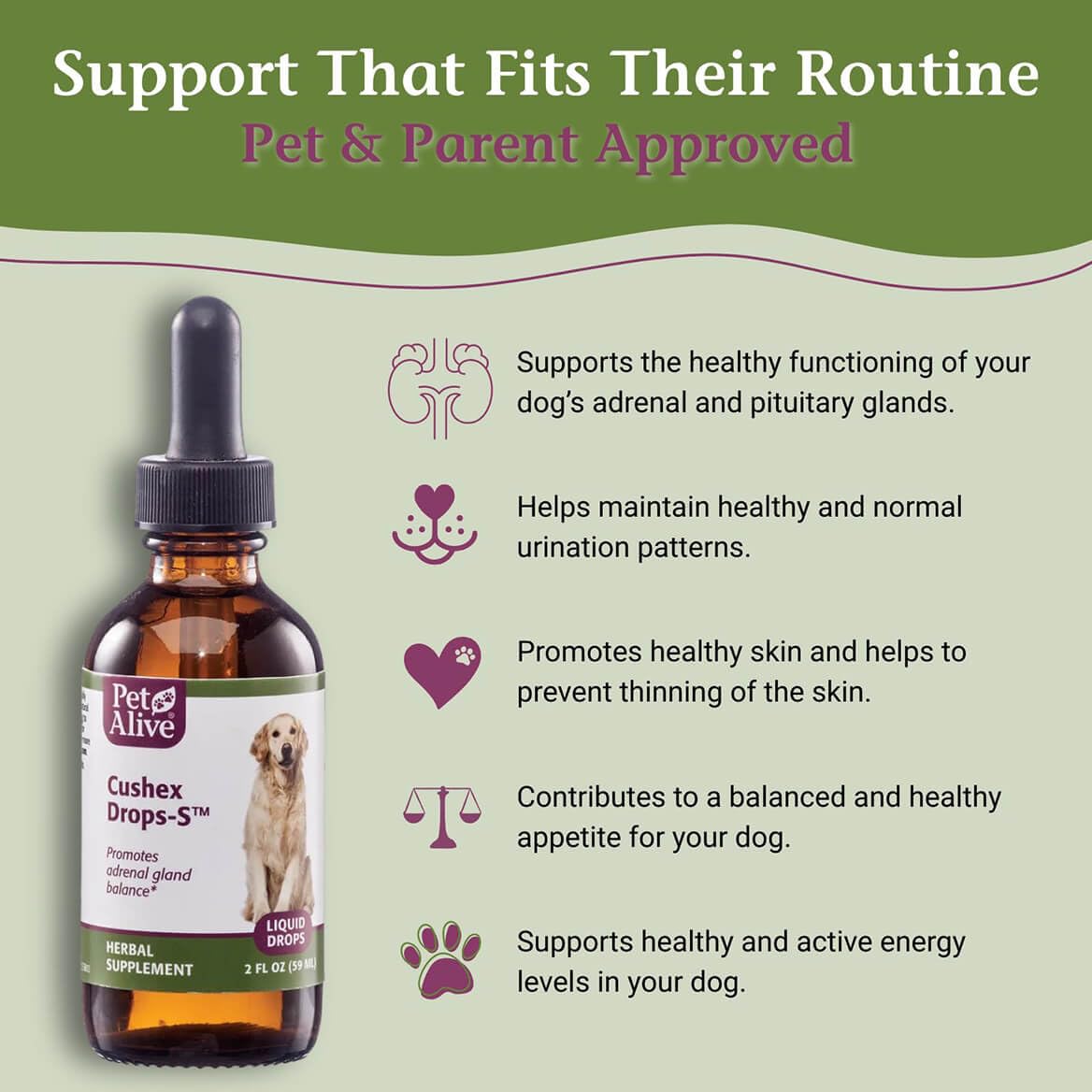 PetAlive Cushex Drops-S Natural Adrenal Support for Dogs - 2 Fl Oz - image 3