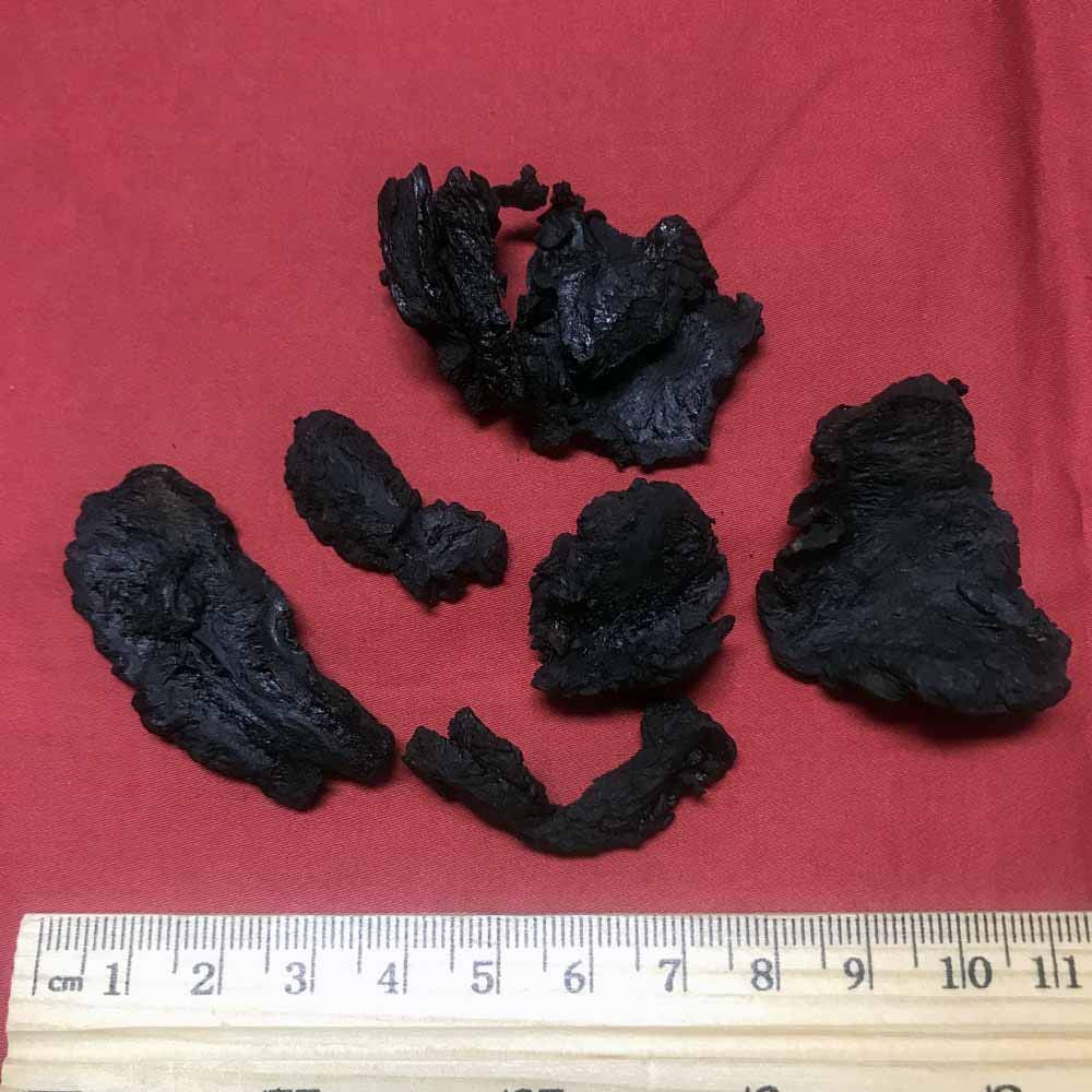 Xi Yao Peng Shudihuang Prepared Rehmannia Root - 100g - image 5