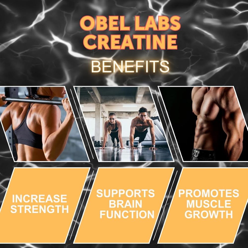obel Creatine Monohydrate Micronized Powder - 500g - image 4