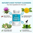 DR VITAMIN SOLUTIONS Liver Cleanse Detox Milk Thistle - 30 Capsules - image 5