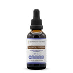 Secrets of the Tribe Chanca Piedra Alcohol-Free Tincture - 2 FL OZ