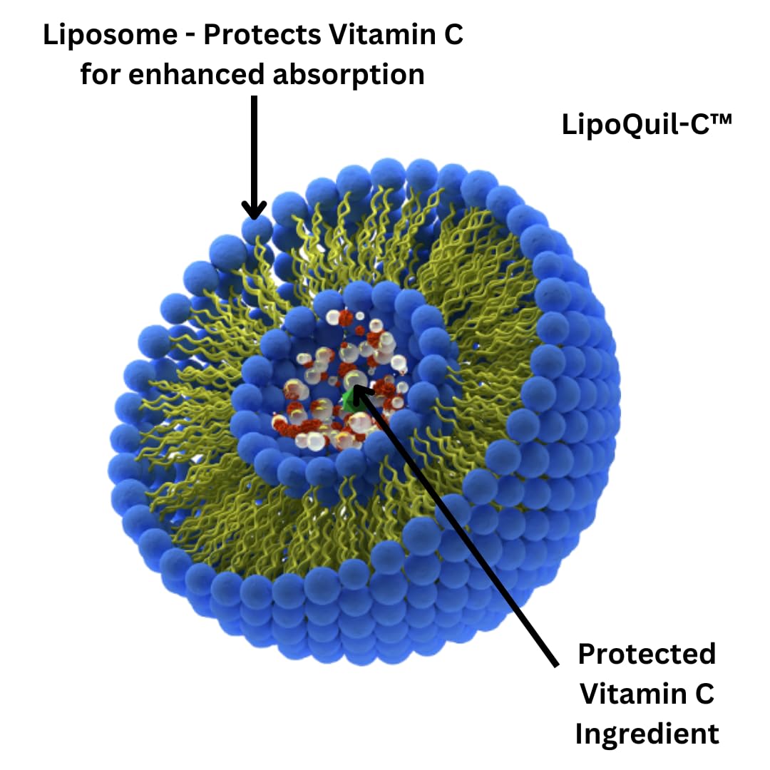 Advanced Bionetix Liposomal Vitamin C 1000mg - 120 Capsules - image 5